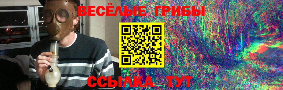 Псилоцибиновые грибы Psilocybe Зеленокумск