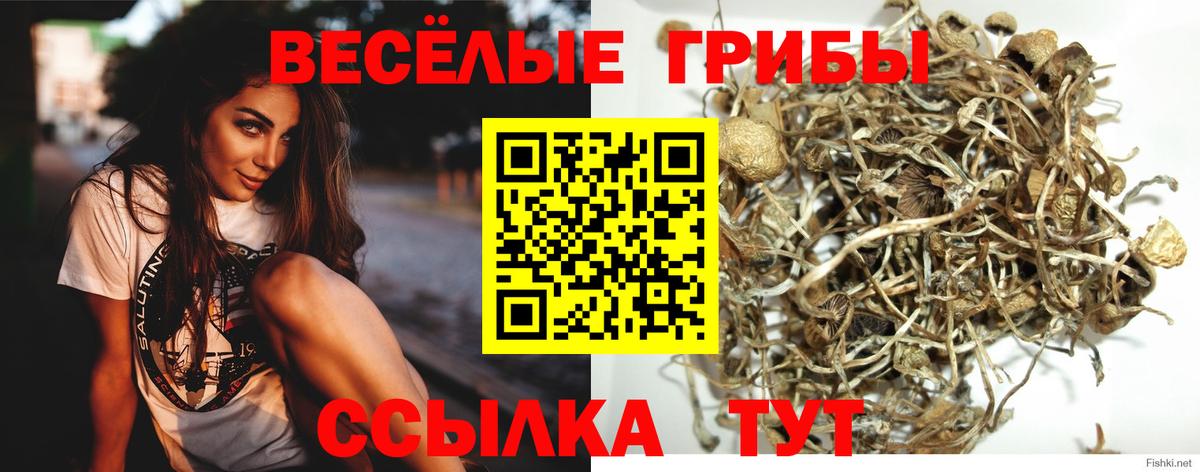 Псилоцибиновые грибы GOLDEN TEACHER  Вход с VPN  Зеленокумск 